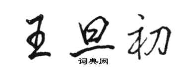 骆恒光王旦初行书个性签名怎么写