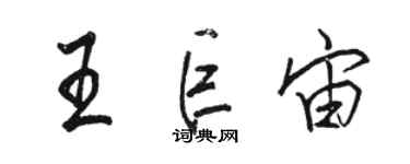 骆恒光王巨宙行书个性签名怎么写