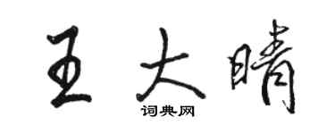 骆恒光王大晴行书个性签名怎么写