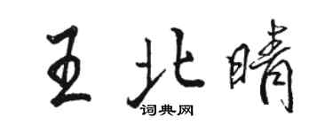 骆恒光王北晴行书个性签名怎么写
