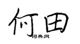 王正良何田行书个性签名怎么写