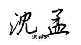 王正良沈孟行书个性签名怎么写