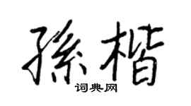 王正良孙楷行书个性签名怎么写