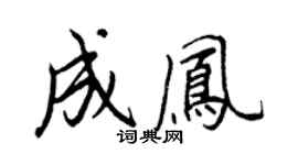 王正良成凤行书个性签名怎么写