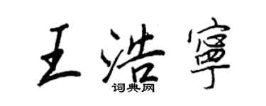 王正良王浩宁行书个性签名怎么写