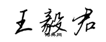 王正良王毅君行书个性签名怎么写