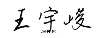王正良王宇峻行书个性签名怎么写
