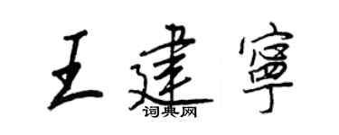 王正良王建宁行书个性签名怎么写