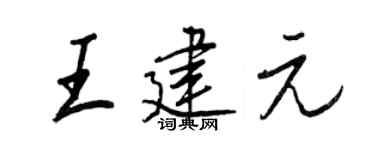 王正良王建元行书个性签名怎么写