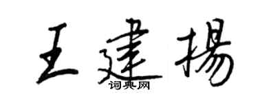 王正良王建扬行书个性签名怎么写