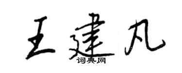 王正良王建凡行书个性签名怎么写