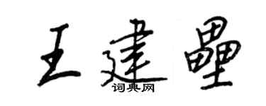 王正良王建垒行书个性签名怎么写