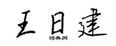 王正良王日建行书个性签名怎么写