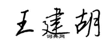 王正良王建胡行书个性签名怎么写