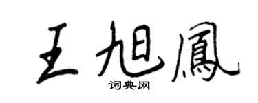 王正良王旭凤行书个性签名怎么写