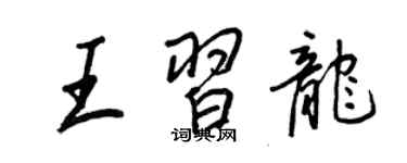 王正良王习龙行书个性签名怎么写