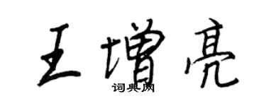 王正良王增亮行书个性签名怎么写