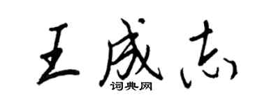 王正良王成志行书个性签名怎么写