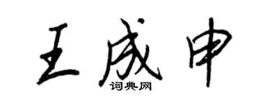 王正良王成申行书个性签名怎么写