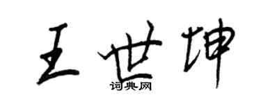 王正良王世坤行书个性签名怎么写