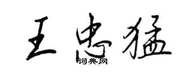 王正良王忠猛行书个性签名怎么写