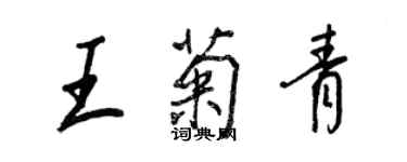 王正良王菊青行书个性签名怎么写