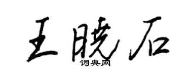 王正良王晓石行书个性签名怎么写