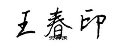王正良王春印行书个性签名怎么写