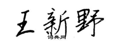 王正良王新野行书个性签名怎么写