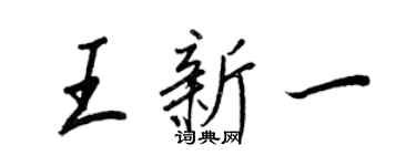 王正良王新一行书个性签名怎么写