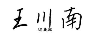 王正良王川南行书个性签名怎么写