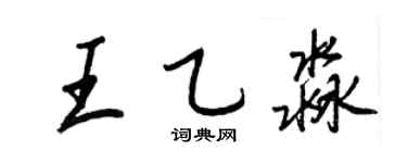 王正良王乙淼行书个性签名怎么写