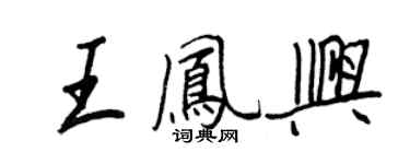 王正良王凤兴行书个性签名怎么写