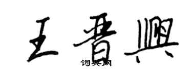 王正良王晋兴行书个性签名怎么写