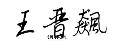 王正良王晋飙行书个性签名怎么写