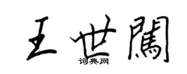王正良王世闯行书个性签名怎么写