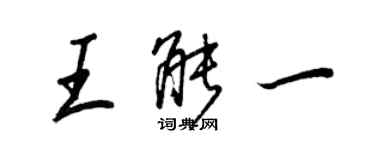 王正良王能一行书个性签名怎么写