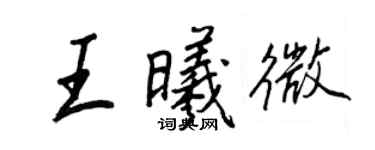 王正良王曦微行书个性签名怎么写