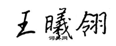 王正良王曦翎行书个性签名怎么写