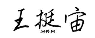 王正良王挺宙行书个性签名怎么写