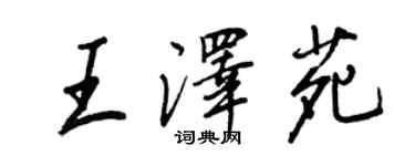 王正良王泽苑行书个性签名怎么写