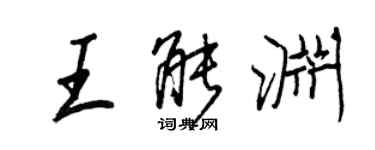 王正良王能渊行书个性签名怎么写