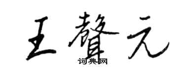 王正良王声元行书个性签名怎么写