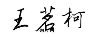 王正良王茗柯行书个性签名怎么写