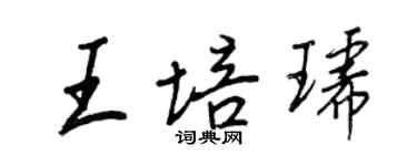 王正良王培琥行书个性签名怎么写
