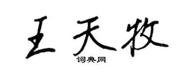 王正良王天牧行书个性签名怎么写
