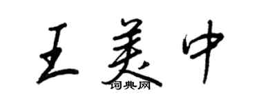 王正良王美中行书个性签名怎么写