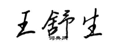 王正良王舒生行书个性签名怎么写