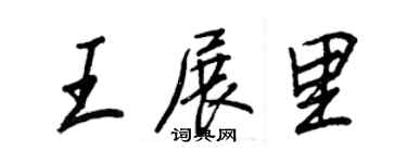 王正良王展里行书个性签名怎么写