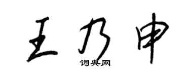 王正良王乃申行书个性签名怎么写